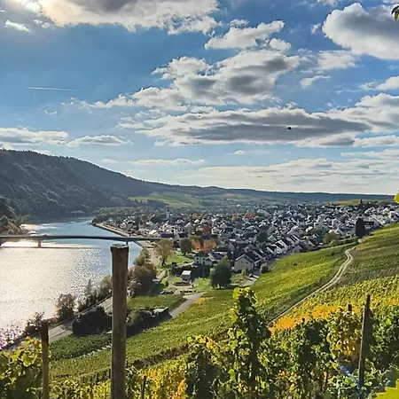 Appartement Ferienapartment Weber-loskill Mehring (Rhineland-Palatinate)