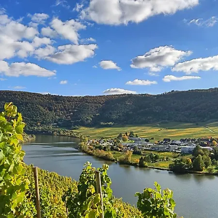 Ferienapartment Weber-loskill * Mehring (Rhineland-Palatinate)