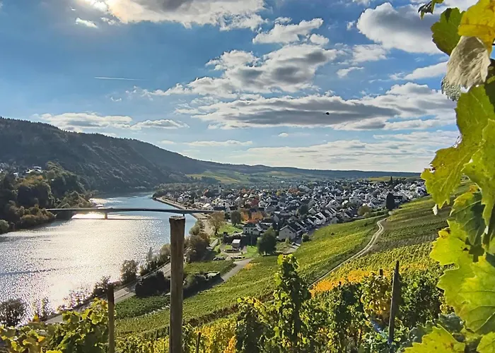 Apartment Ferienapartment Weber-loskill Mehring (Rhineland-Palatinate)