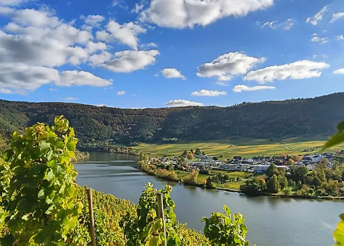 Ferienapartment Weber-loskill * Mehring (Rhineland-Palatinate)